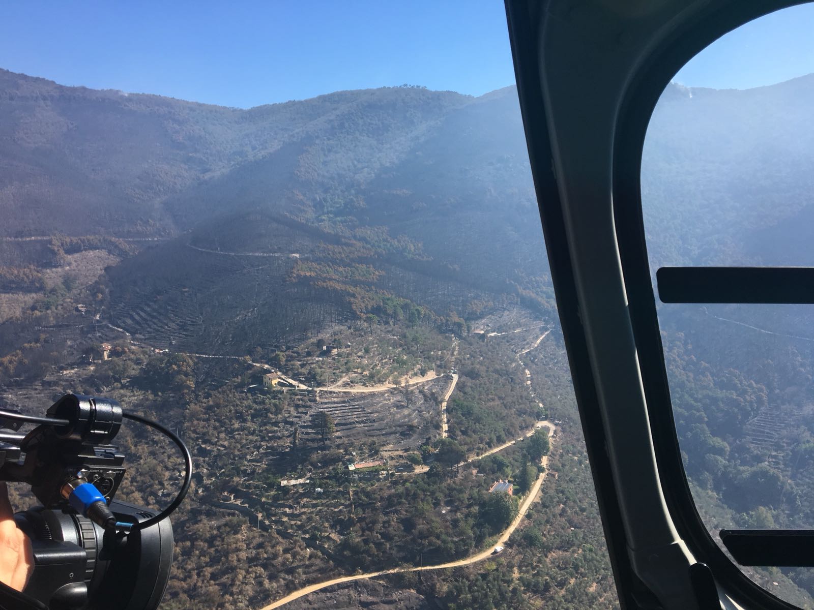 Immagine Con oltre 1350 alberi rinasce il Monte Pisano